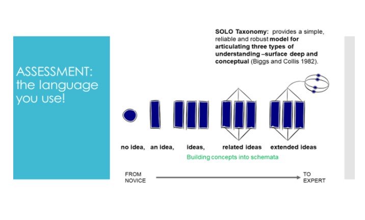 SOLOtaxonomy